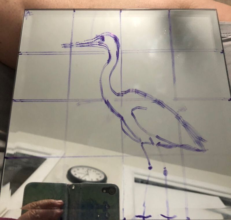 Picture of a square mirror with a grid and outline of a heron drawn on.