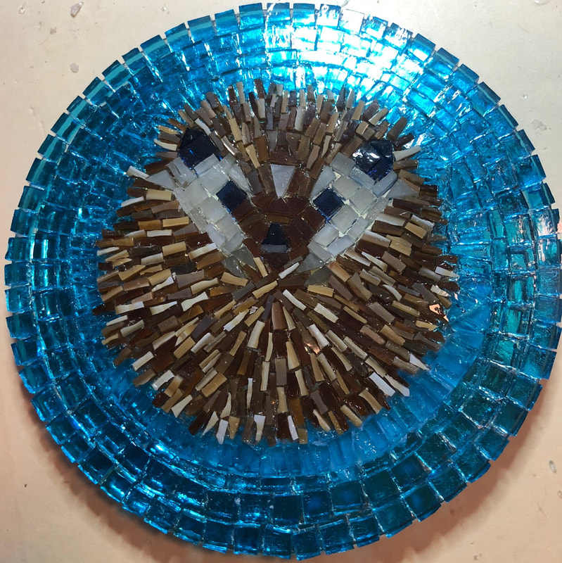 My mosaic of a cute hedgehog in a ball surrounded by blue glass before grouting.